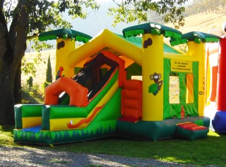Big Air Productions Jump Houses Bounce Houses Water Slides Interactives Royal Castle Mini Castle Sports Coliseum Giant Sports Arena Jungle Jump And Slide Paradise Water Slides 2 Man Joust Boxing Ring Soccer Arena